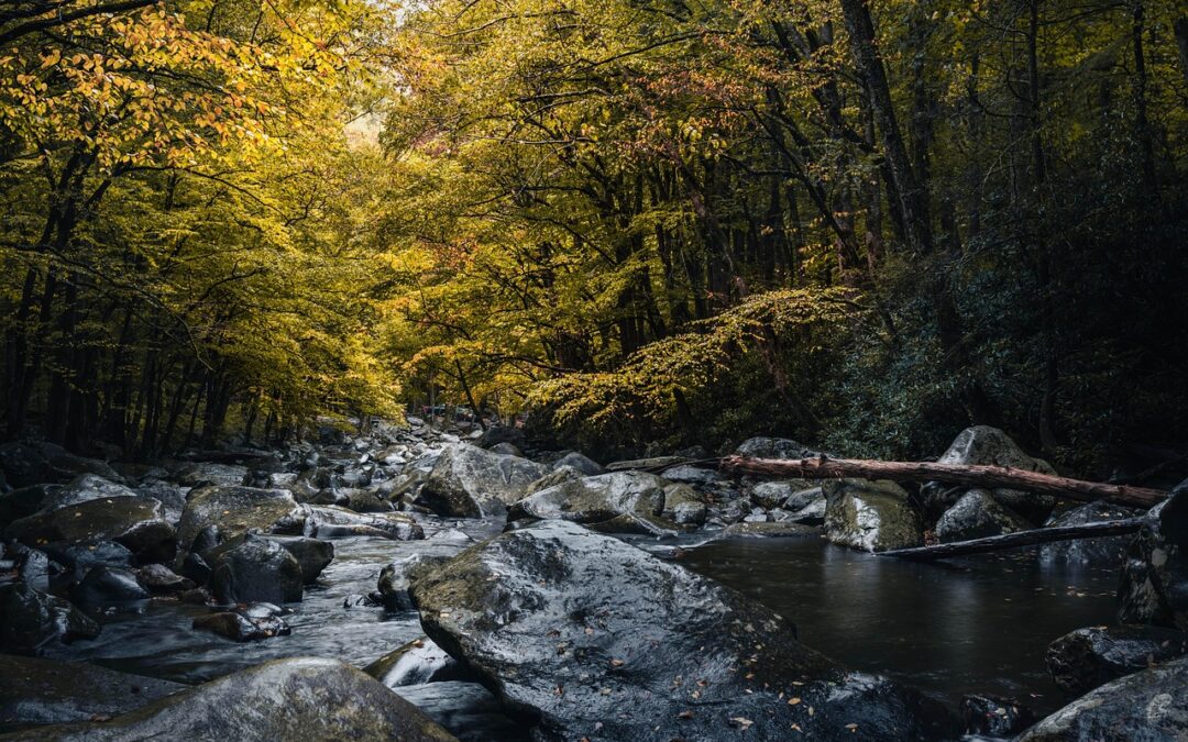 NACIMIENTO DE RÍO BOROSA EN CAZORLA (JÁEN)