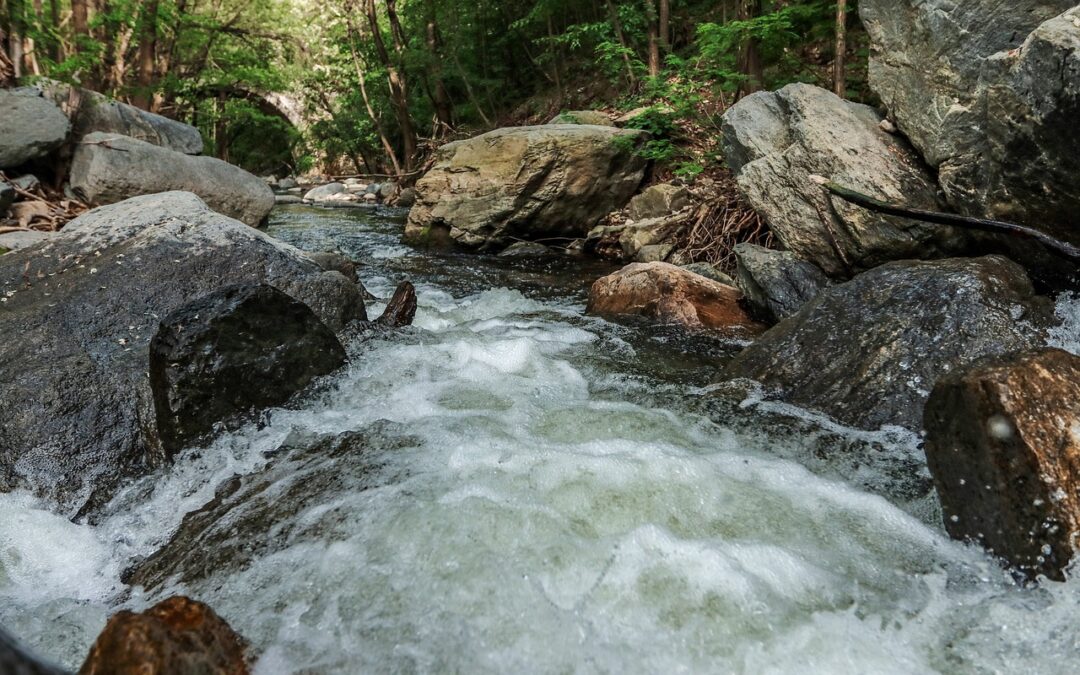 RUTA DEL RÍO CHILLAR (MÁLAGA)